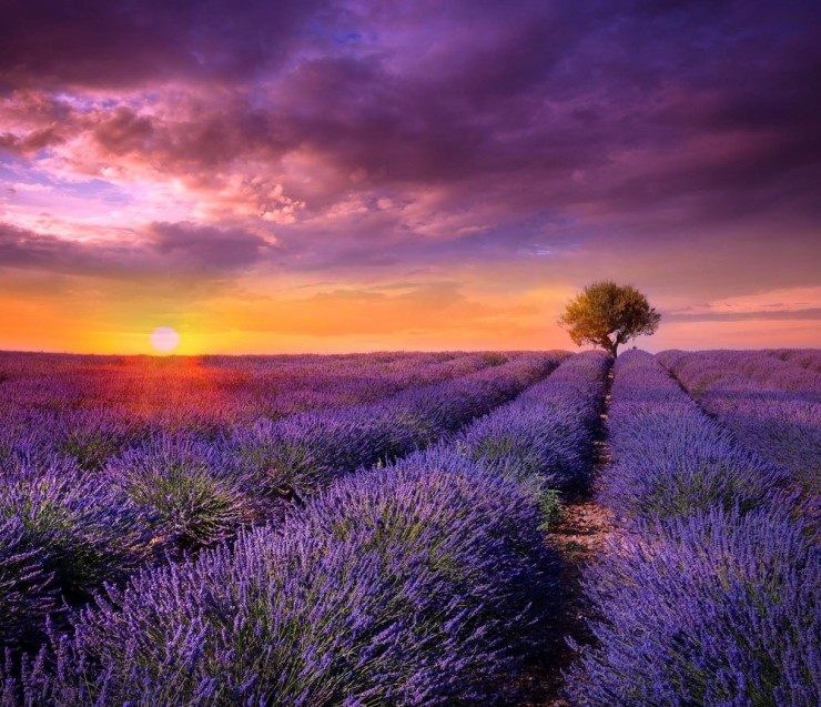 Un coucher de soleil en Provence