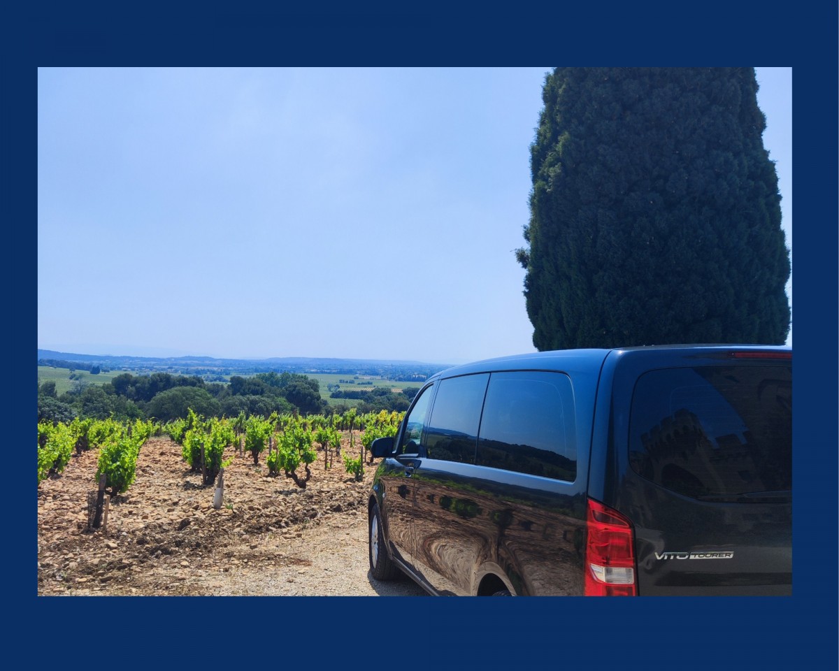 Visite des vignobles de Provence !