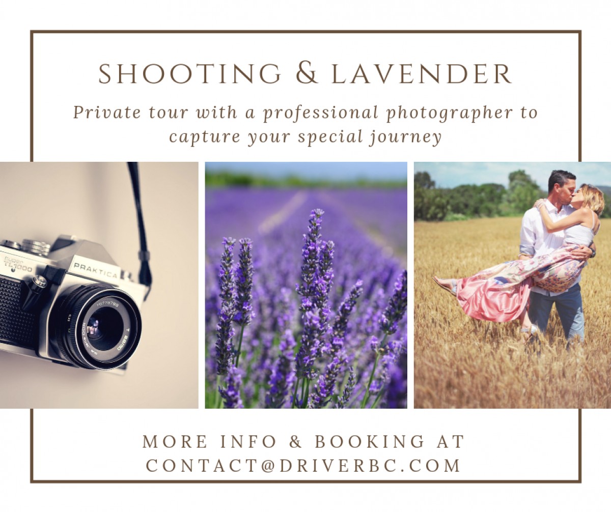Profesionnal Shooting in the lavender fields