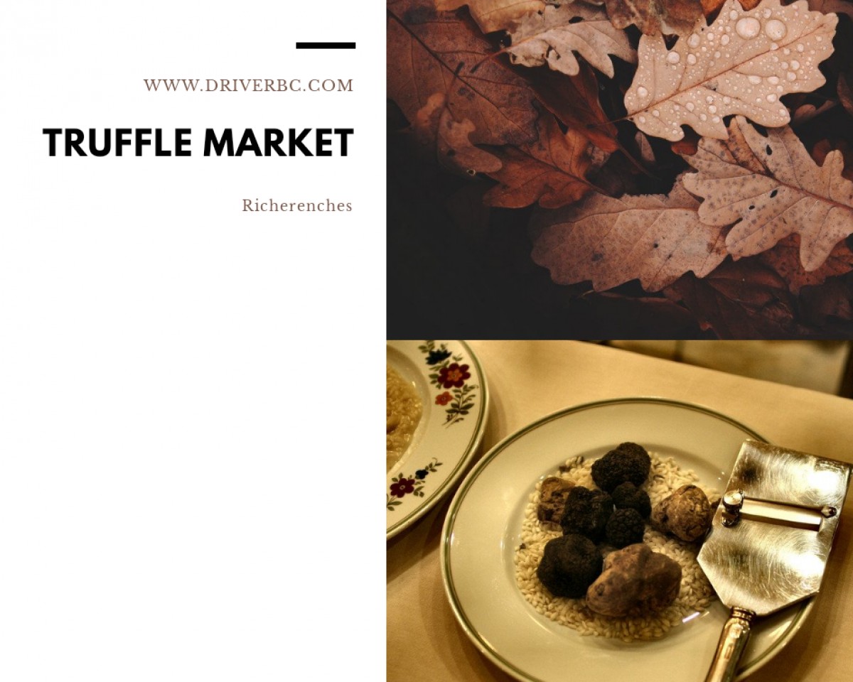 Half day trip to Richerenches truffle market 