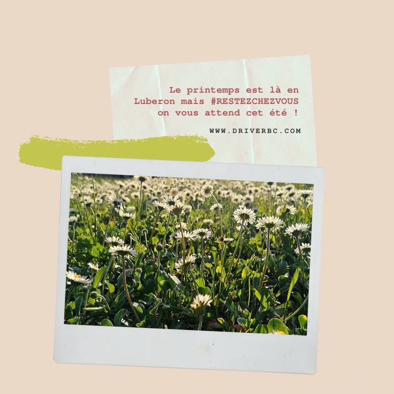 Spring season in Provence 