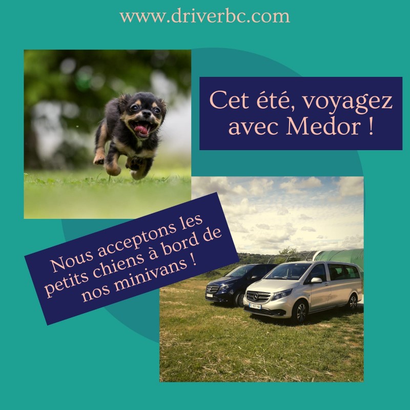 Private driver dog friendly in Provence