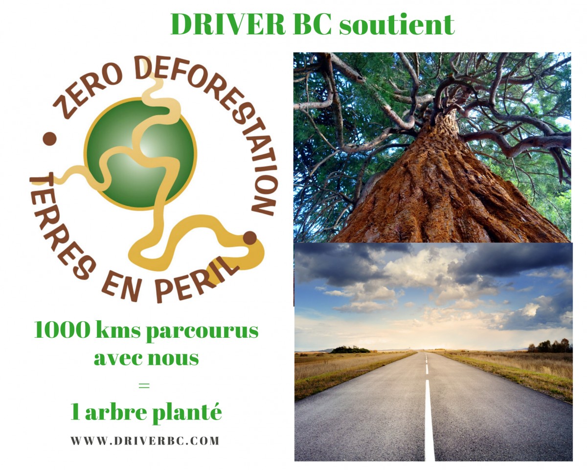 VTC et environnement