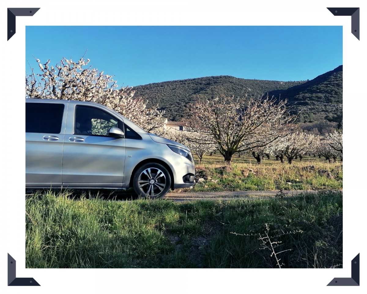 Chauffeured service in Avignon and Luberon