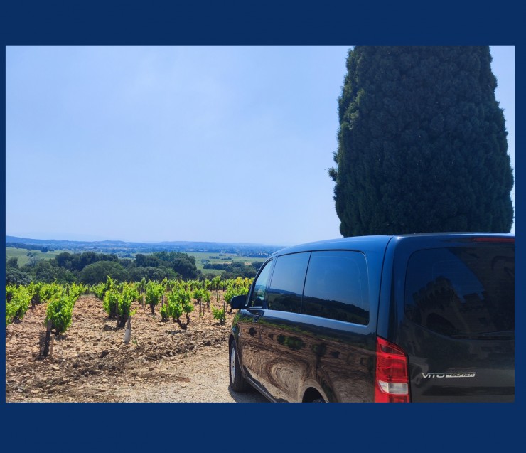 Visite des vignobles de Provence !