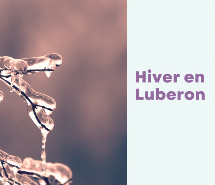 Winter season in the Luberon