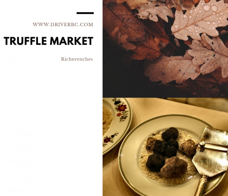 Half day trip to Richerenches truffle market 