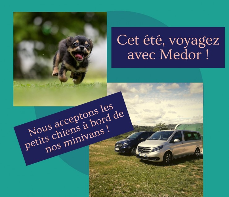 Private driver dog friendly in Provence
