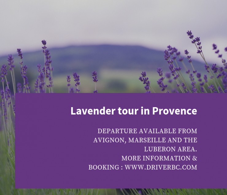On the lavender road !