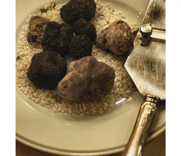 La chasse aux truffes dans le Luberon