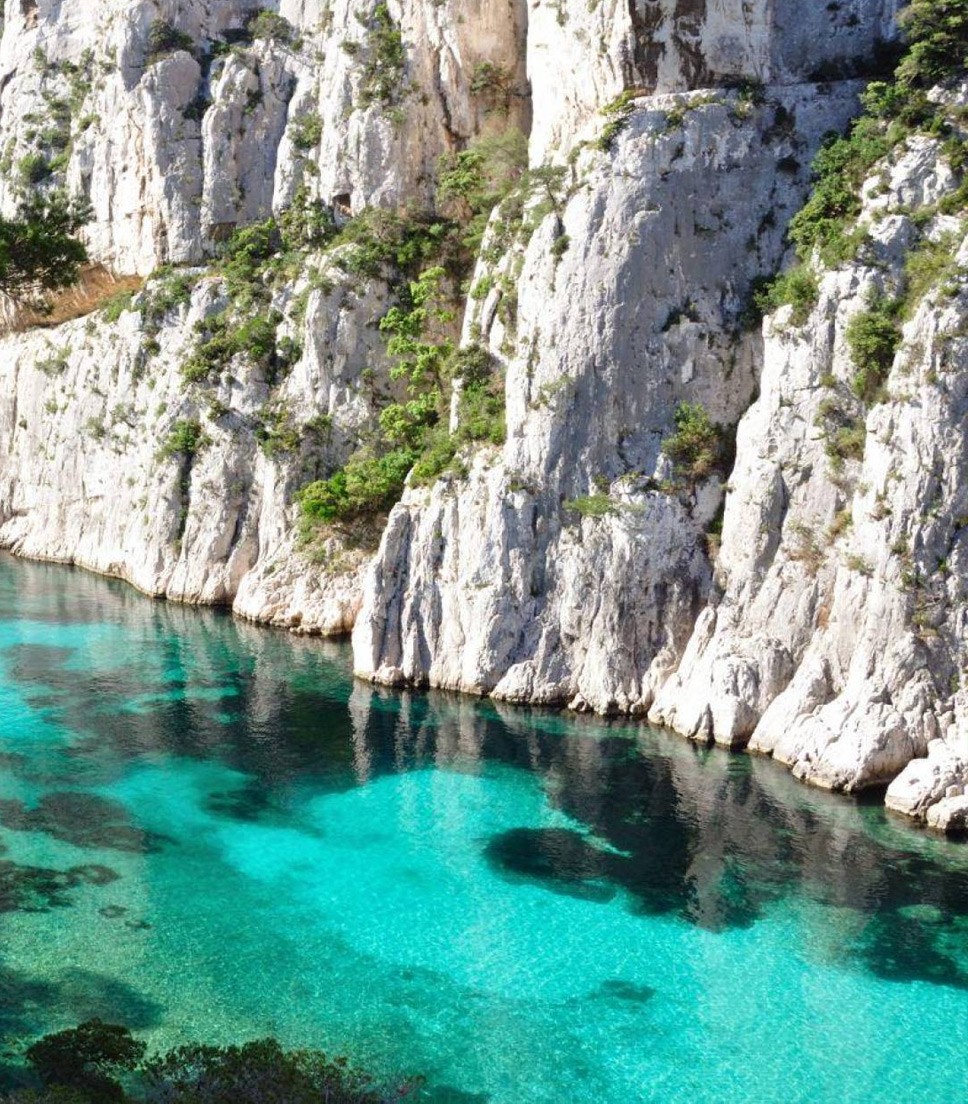 Private tour Marseille Cassis