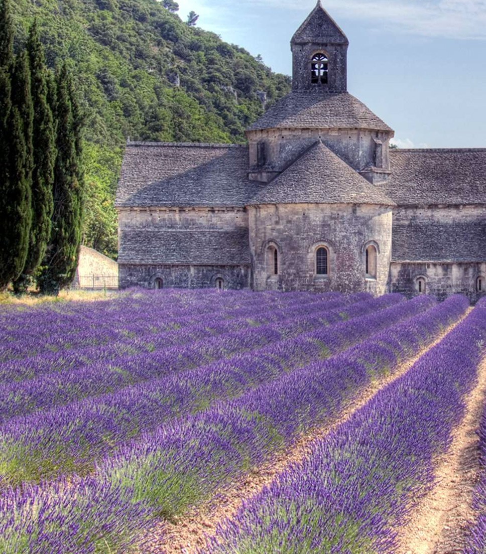 Private tour Luberon villages with wine tasting
