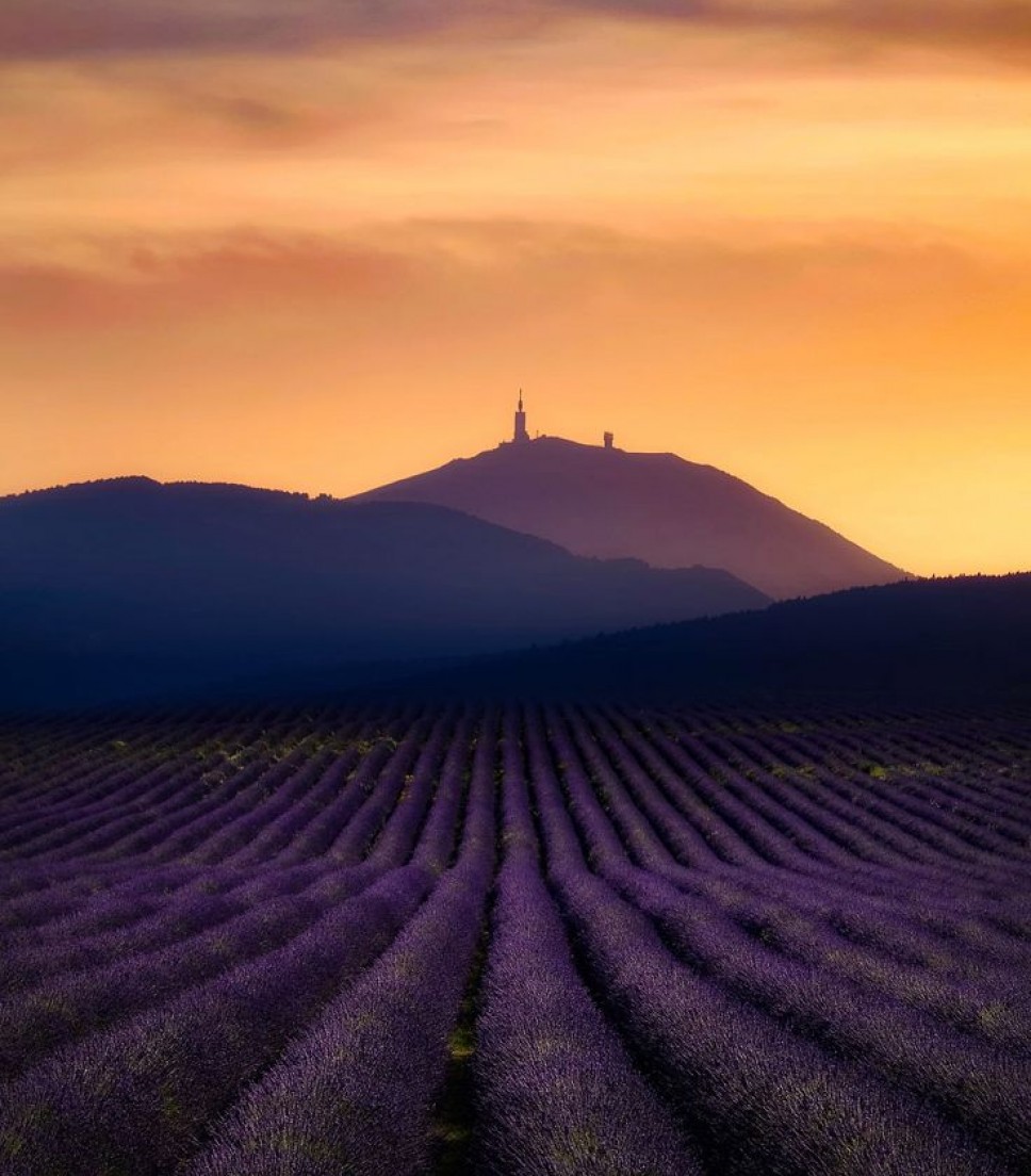 Tour coucher de soleil lavande