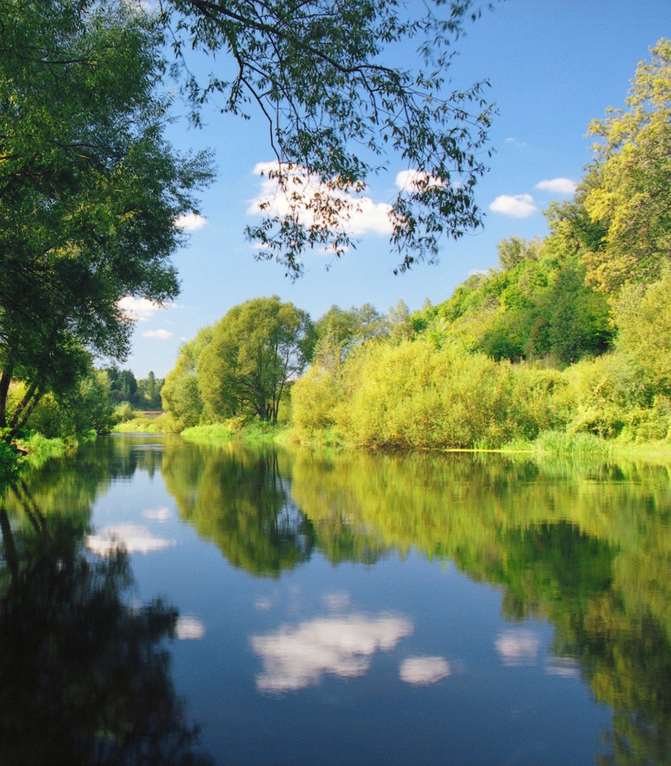 Tour marché L'Isle sur la Sorgue et Luberon