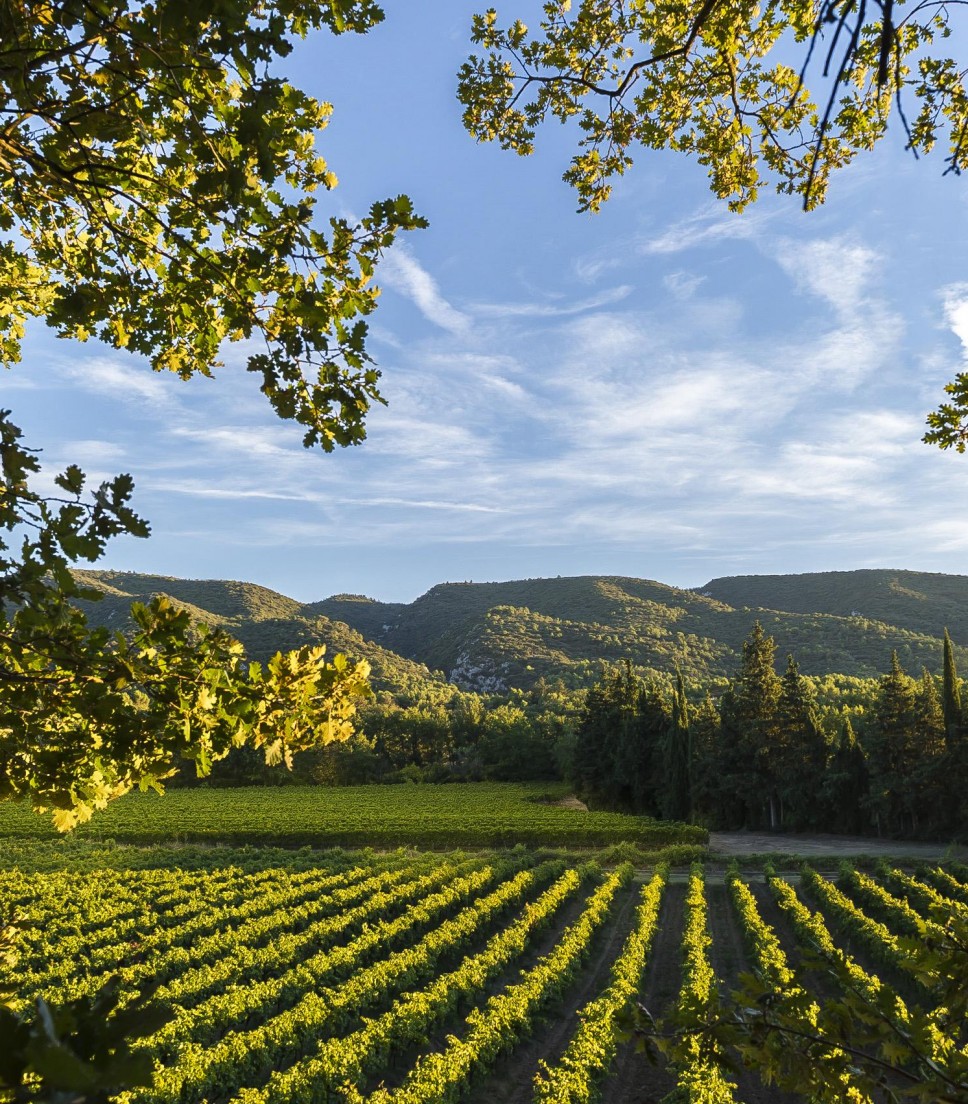 Tour privé villages du Luberon dégustation de vin