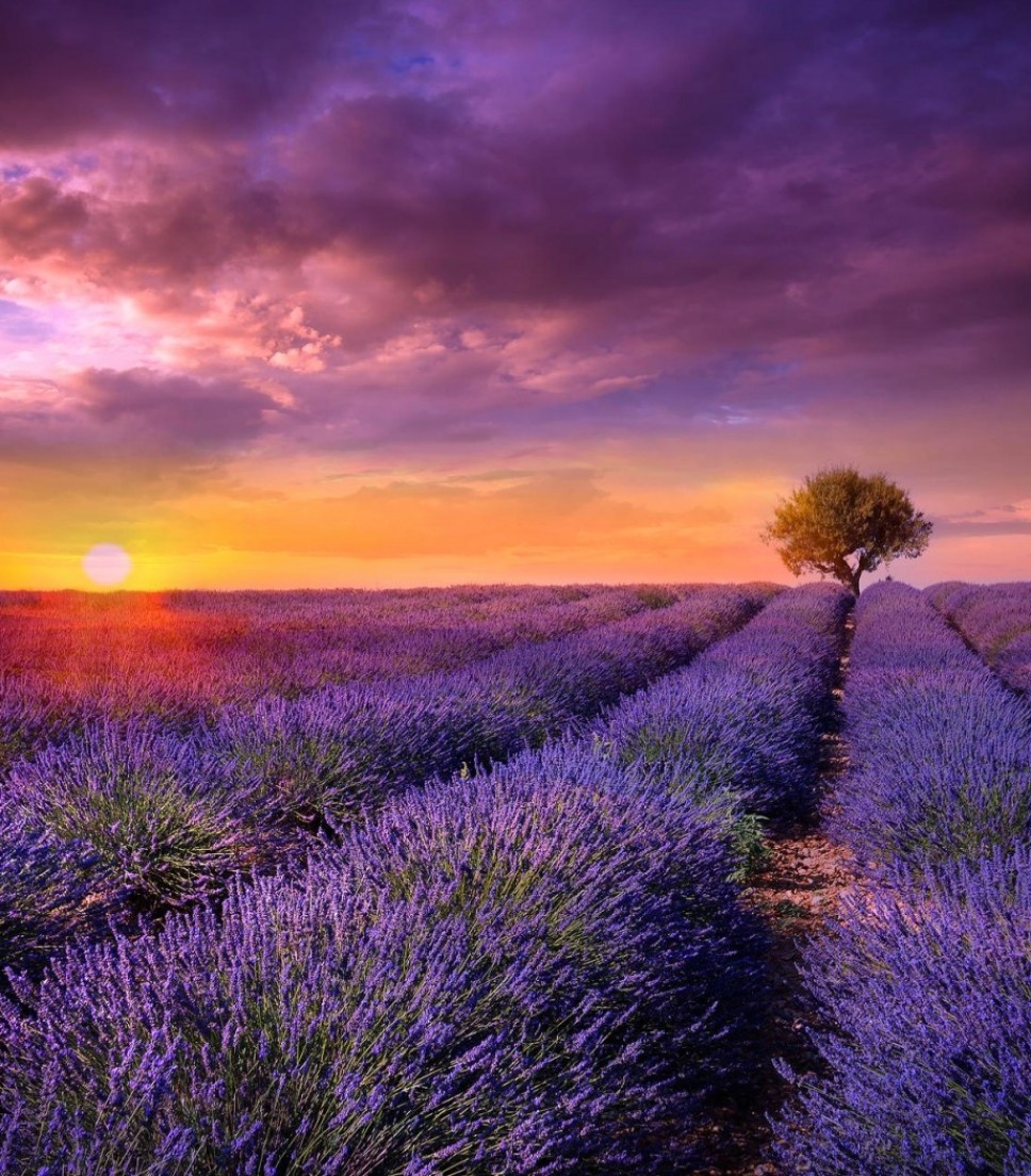 Sunset Tour in Luberon