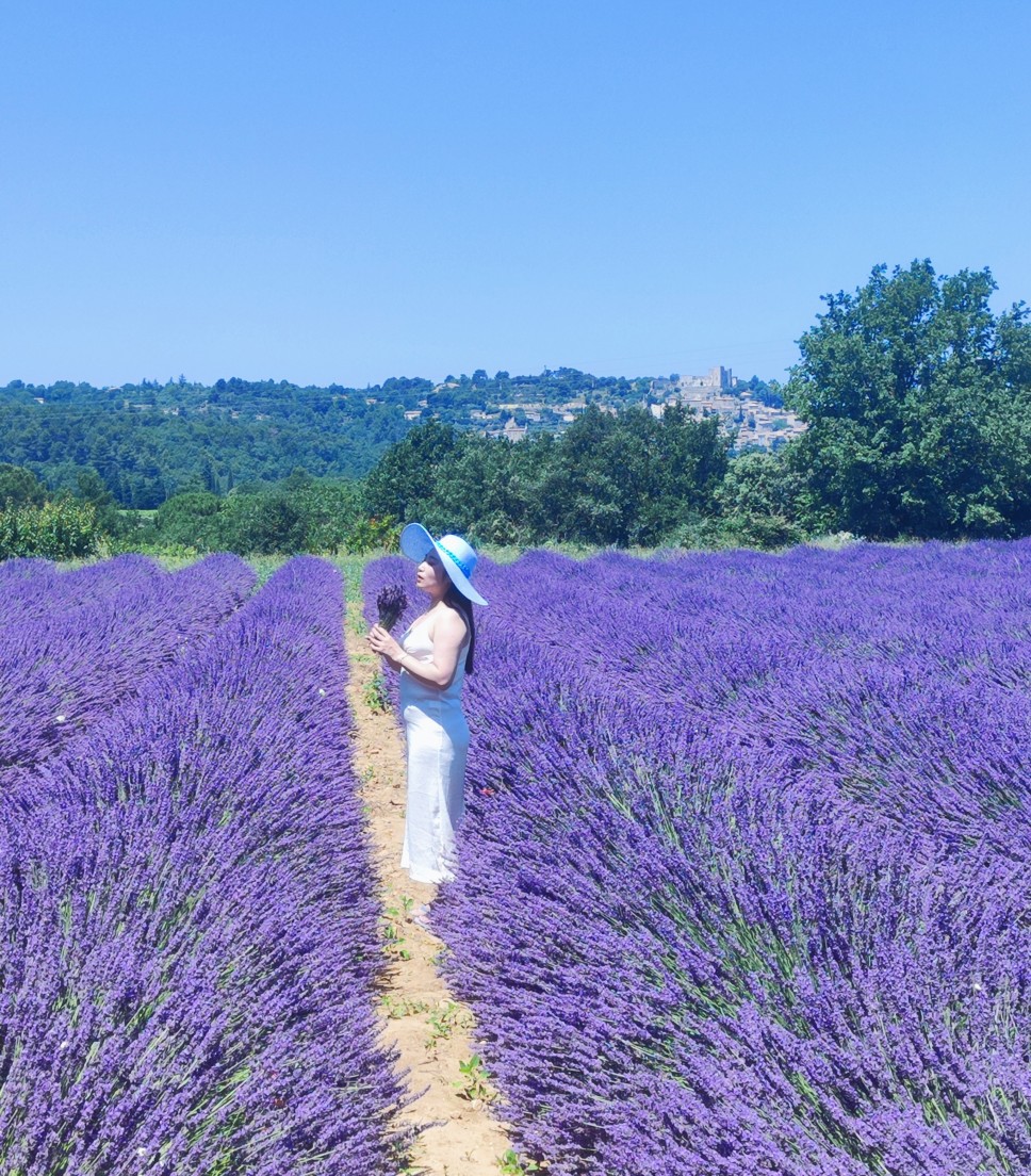 Private tour Lavender fields and Abbey of Senanque